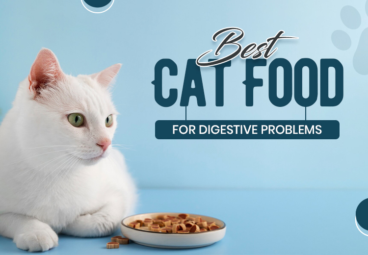 Best Cat Food for Digestive Problems